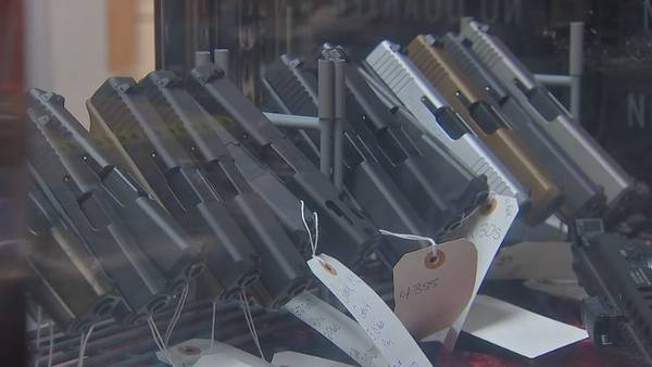Squirrel Hill group pushing for stricter gun laws meets with State Representative