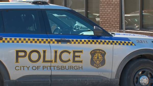 Target 11: veteran Pittsburgh Police detective back on the job after fight at local bar