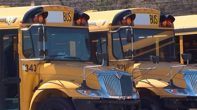 Beaver County father concerned over school buses not stopping on Rt. 51