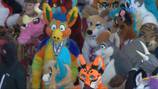 PHOTOS: Furries return to Pittsburgh for Anthrocon 2024