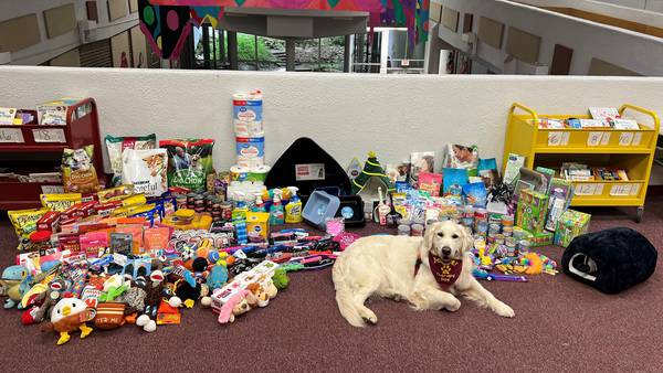 New Brighton Elementary students collect donations for Beaver County Humane Society