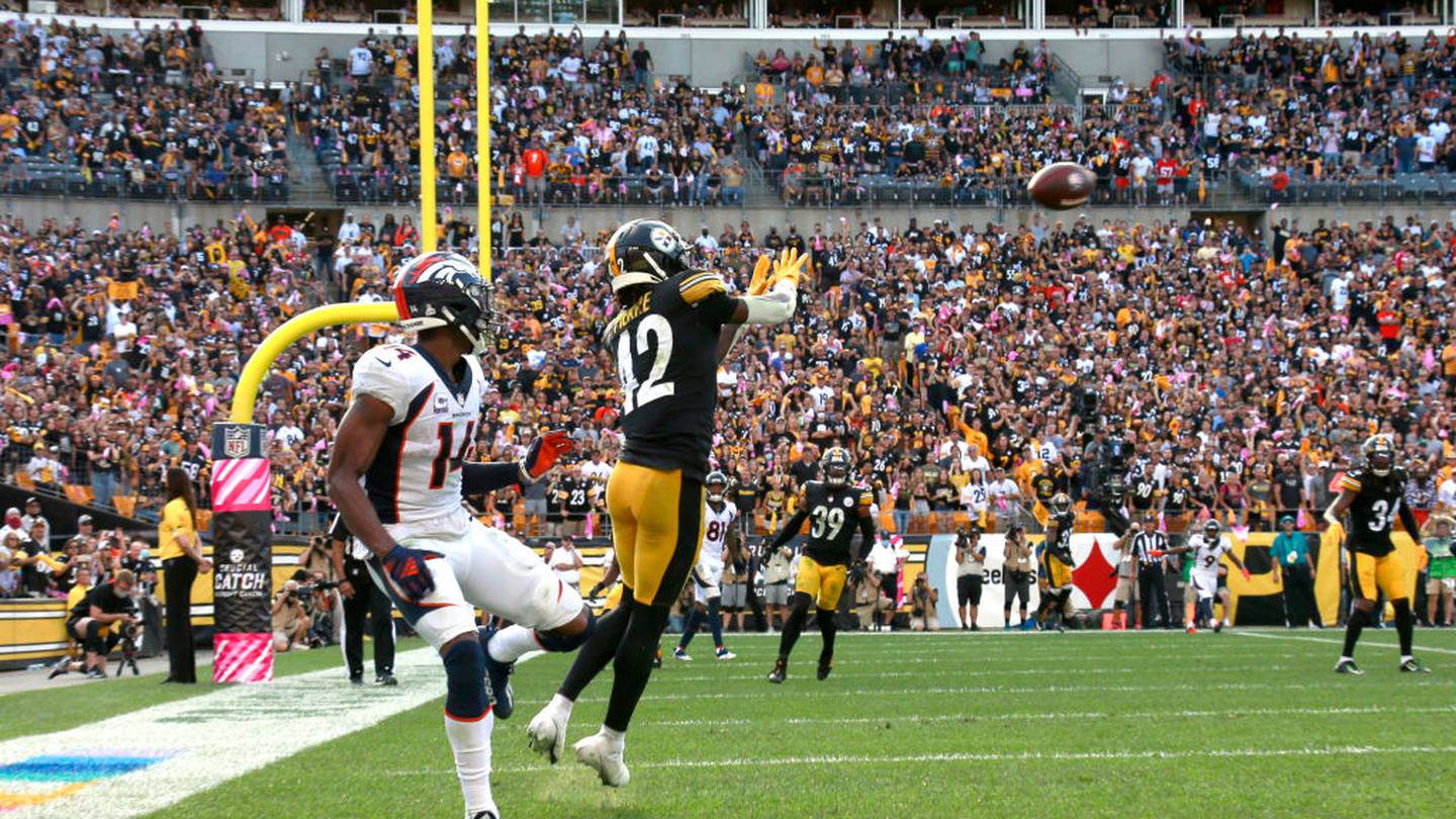 steelers game fight fans