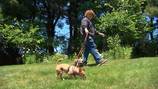Proposed pet limit has some West Mifflin residents outraged, concerned
