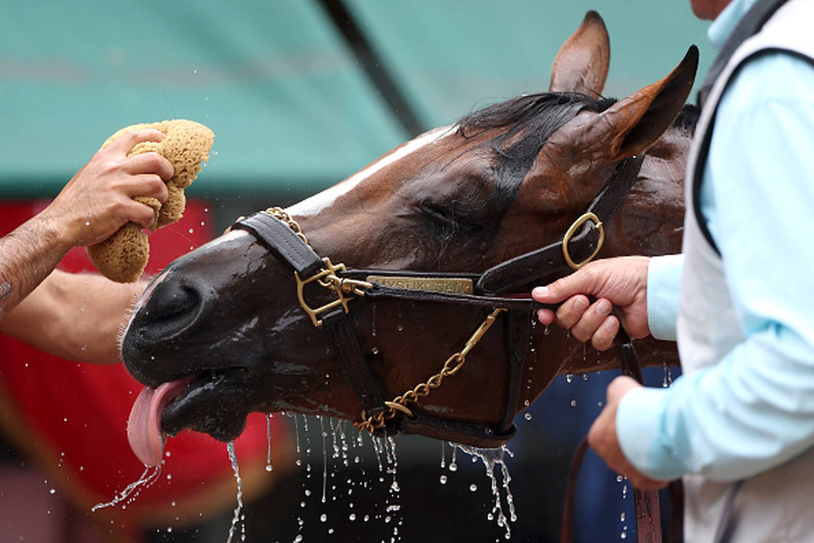 Preakness 2024 What time, who is running and could there be a Triple