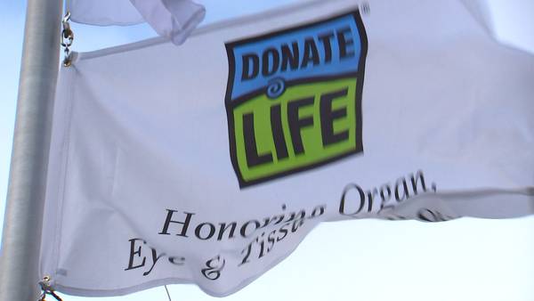 ‘Bee’ part of special ecosystem for National Donate Life Month!