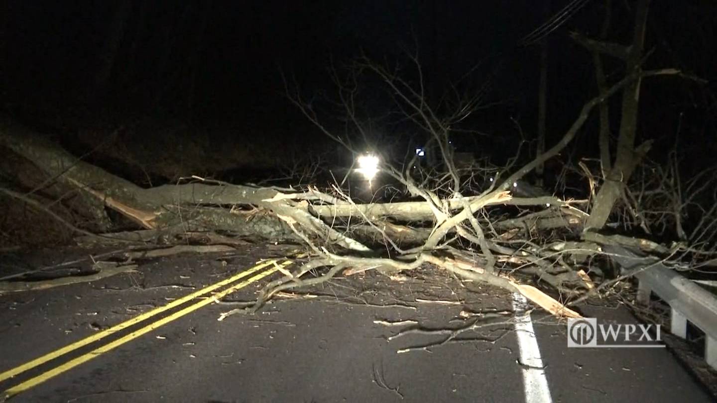 Downed Tree Knocks Out Power Closes Road In Upper St Clair – Wpxi