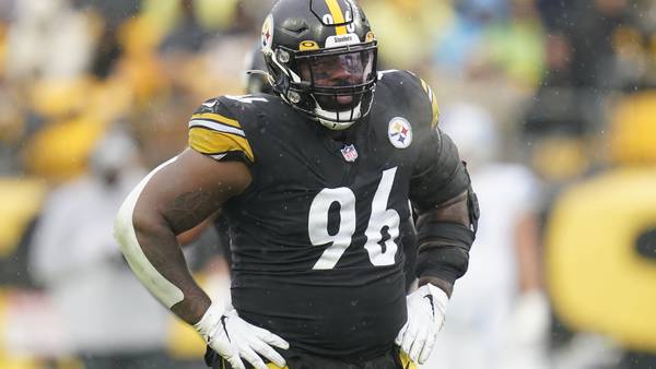 Former Steelers lineman Isaiah Buggs sentenced to hard labor for animal cruelty charges