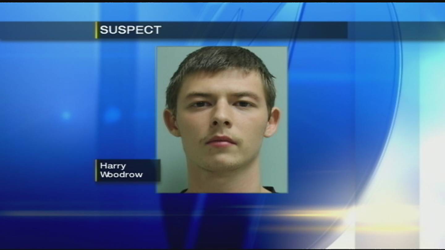 Sex13video - Man, 20, accused of having sex with 13-year-old girl in Derry Township â€“  WPXI