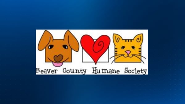 Beaver County Humane Society drops adoption costs for next week to help clear out kennels 