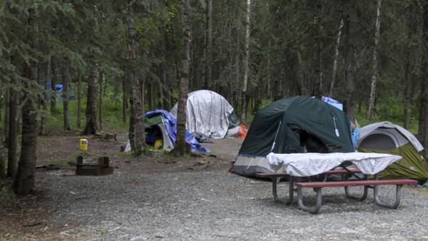 4 black bears killed in Alaska campground set aside for homeless