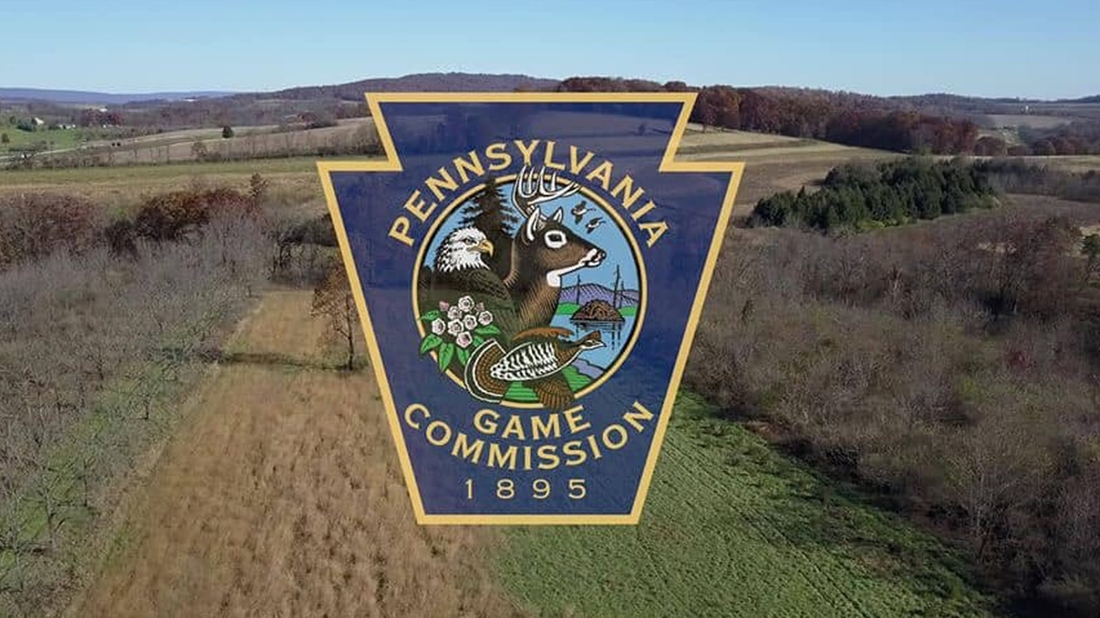New process for PA hunters to get doe licenses WPXI