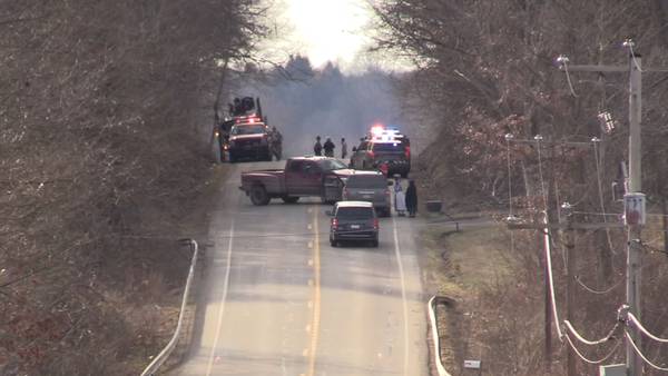Woman, boy killed when logging truck crashes into Amish buggy