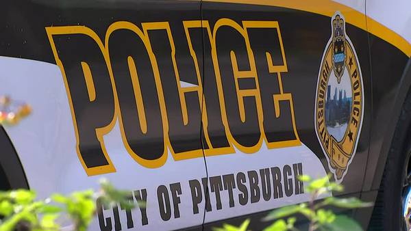 Promotion within Pittsburgh Bureau of Police causes controversy