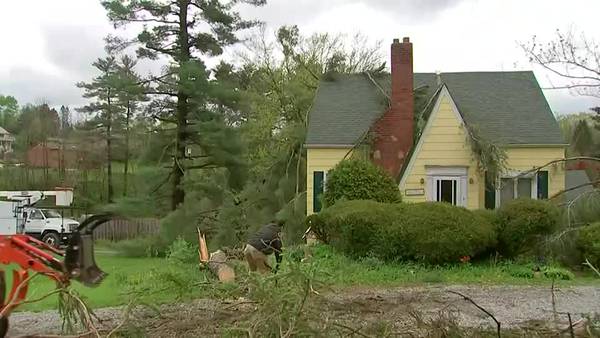 Tree falls on homes in Westmoreland County during severe weather