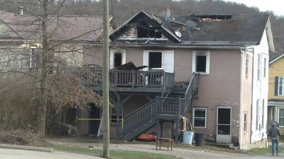 2 dogs killed in apartment fire in Waynesburg