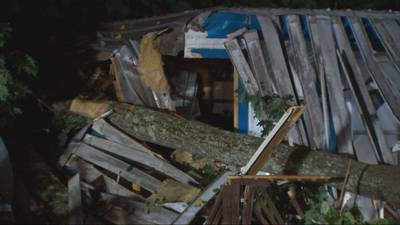 PHOTOS: Tree falls on mobile home in Shaler Township