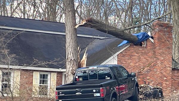 PHOTOS: Strong winds cause damage throughout western Pennsylvania