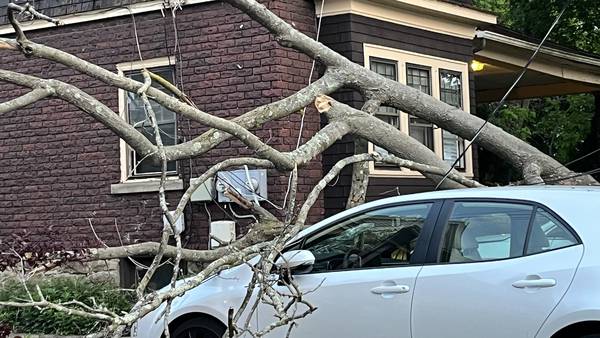 PHOTOS: Tree branch brings down utility wires, damages vehicles in Brookline