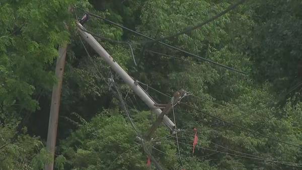Strong storms bring down trees, knock out power in the North Hills
