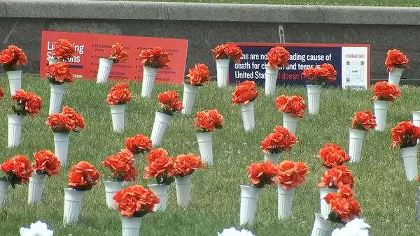 Memorial honors gun violence victims with 45,000 flowers on National Mall