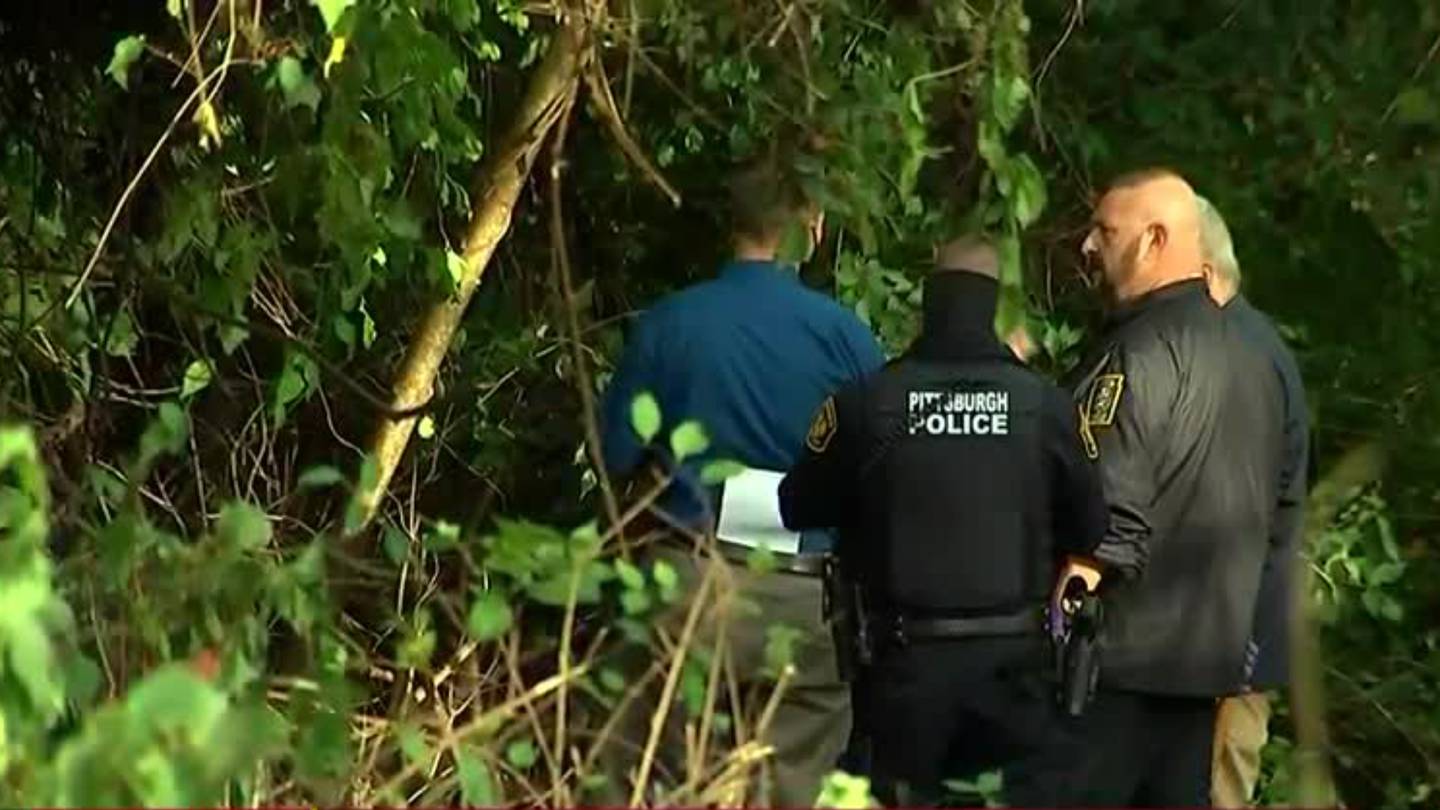 Human Remains Found In Wooded Area In Pittsburgh Police Investigating Wpxi 2167