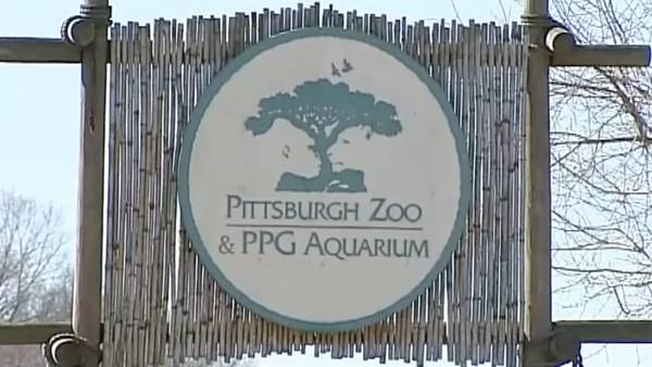 Entry escalator, elevator at Pittsburgh Zoo back in service ahead of schedule