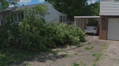 Saved by the bell: Oakdale woman receives weather alert just before tornado sends tree toppling over