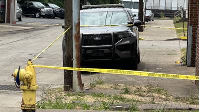Woman fatally shot in Uniontown; man in custody