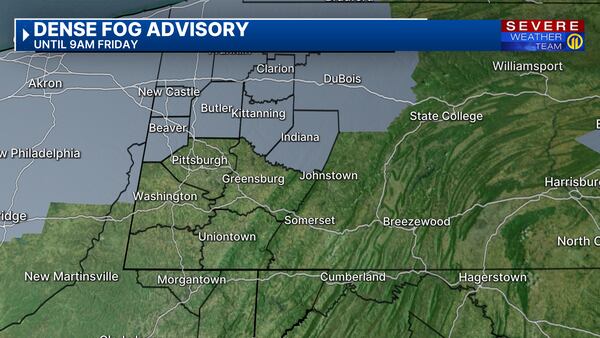 Dense Fog Advisory issued for parts of area