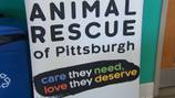 Humane Animal Rescue of Pittsburgh offering free microchips for pets