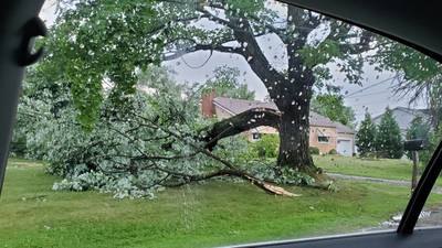 PHOTOS: Passing storms cause damage across the Channel 11 viewing area