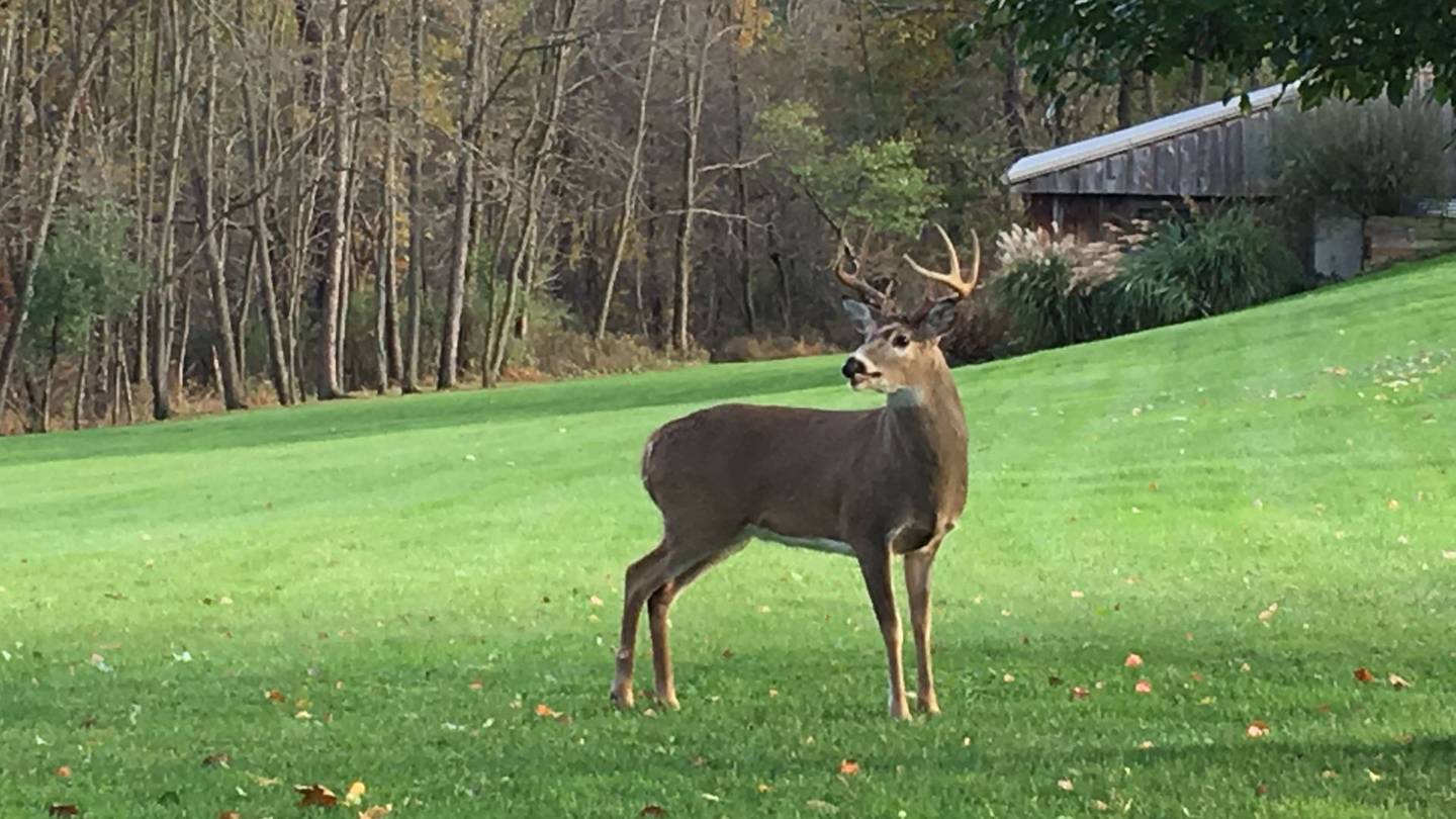 Pa. Game Commission gives preliminary approval to Sunday hunting dates