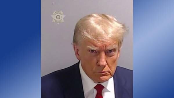 Photos: Mug shots from Trump indictment in Georgia