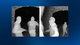Suspects who caused damage to Jefferson Hills homes sought by police