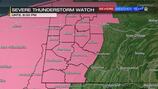 SEVERE THUNDERSTORM WATCH: issued for multiple western Pennsylvania counties