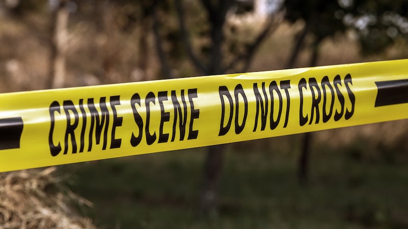 Idaho brush fire ambush: Firefighters identified; new details about alleged shooter