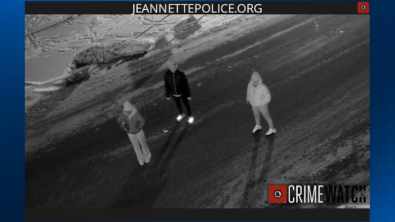 Local police ask for help identifying 3 people accused of stealing Baby Jesus from Nativity scene