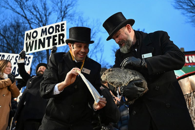 Punxsutawney Phil