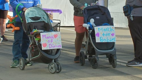 Hundreds of families walk and enjoy activities during the 54th annual March for Babies Walk on Pittsburgh's North Shore.