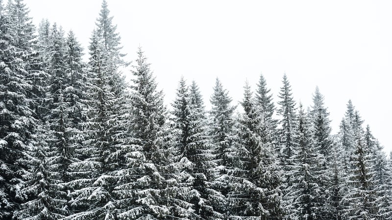 Will there be a white Christmas in Pittsburgh this year?