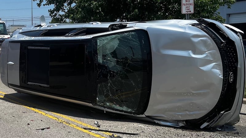 ‘Suspect fled the scene’: Police say cicada caused rollover crash