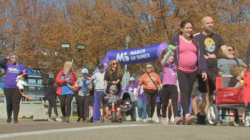 Hundreds of families walk and enjoy activities during the 54th annual March for Babies Walk on Pittsburgh's North Shore.