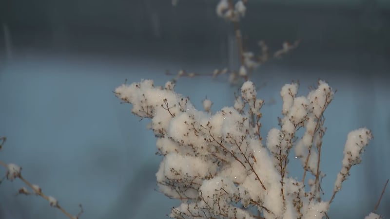 Several inches of snow expected for the Pittsburgh area over the weekend