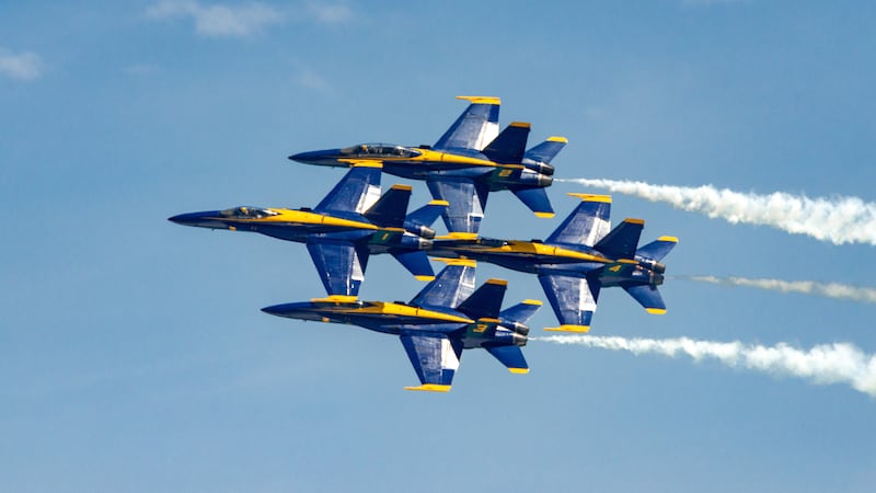 Woman sues Navy Blue Angels, claims jets terrorized dying cat, military silenced her online