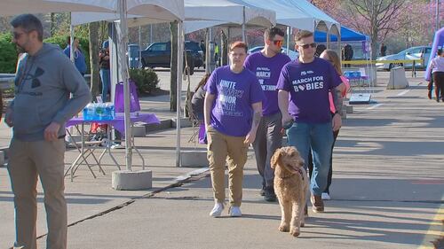 Hundreds of families walk and enjoy activities during the 54th annual March for Babies Walk on Pittsburgh's North Shore.