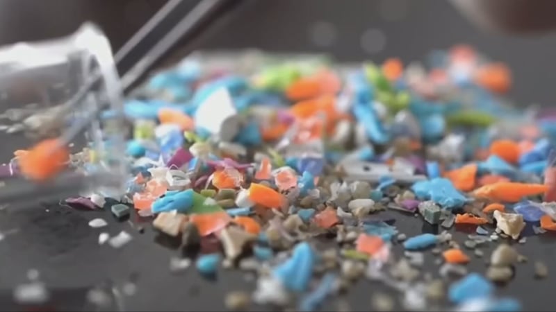 The growing health concerns of microplastics and what you can do to reduce your risks