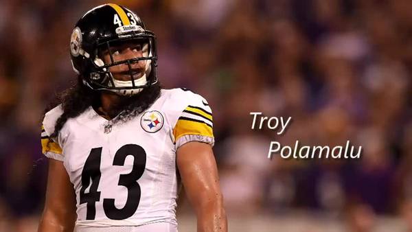 Troy Polamalu reflects on time as a Pittsburgh Steeler in social media post
