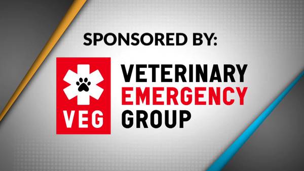 Take 5 - Veterinary Emergency Group