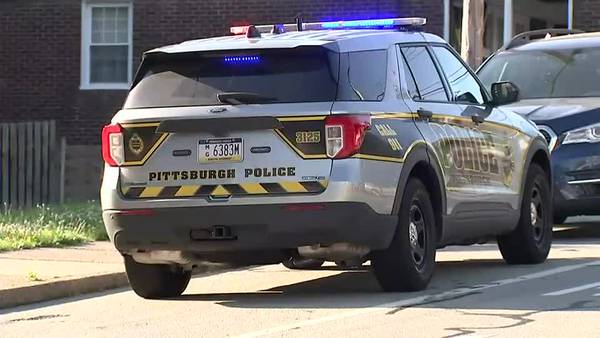 Pittsburgh City Council considering new stop-and-frisk policy