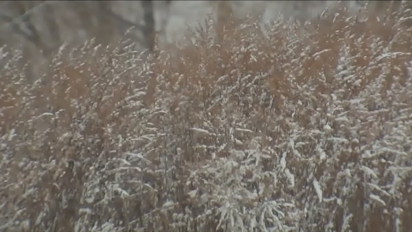 Temperatures drop below freezing overnight, roads could refreeze